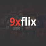 9xflix movie